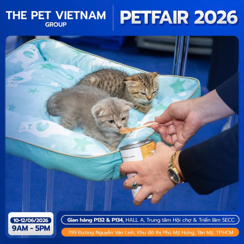 King's Pet