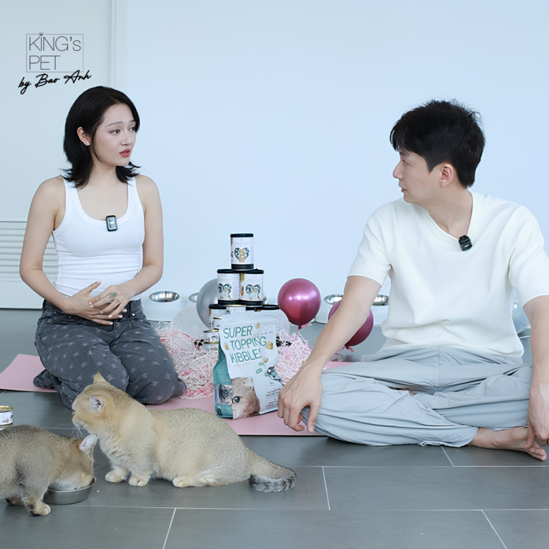 Ngô Kiến Huy