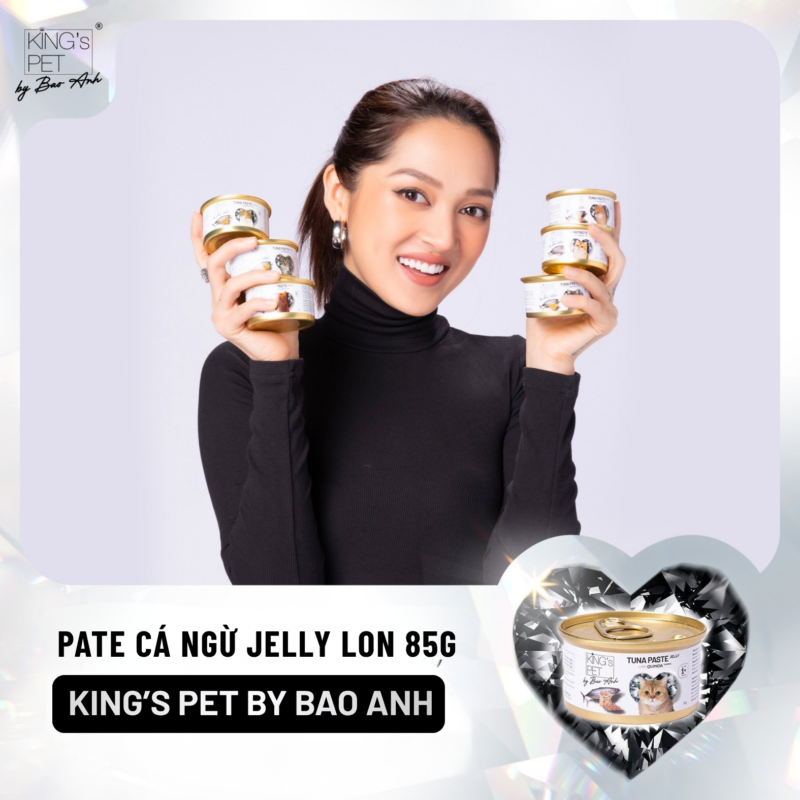 ca sĩ Bảo Anh (1)