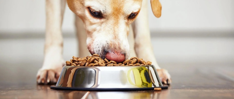 Duy trì tính ổn định: thay đổi từ từ để tránh “kích hoạt”