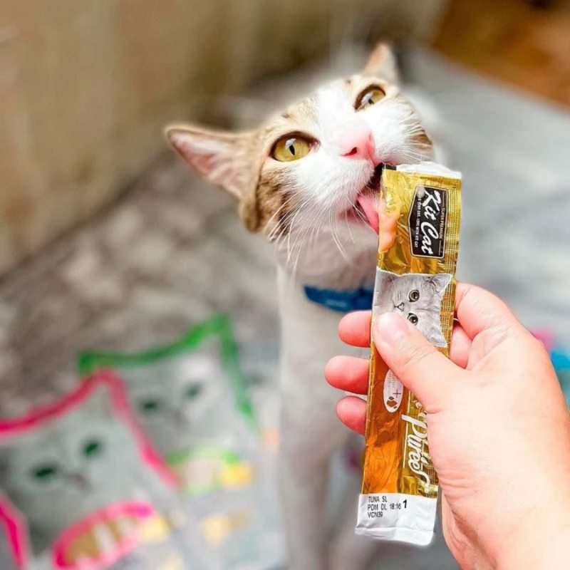 Đồ ăn cho mèo: Cách chọn súp thưởng cho mèo