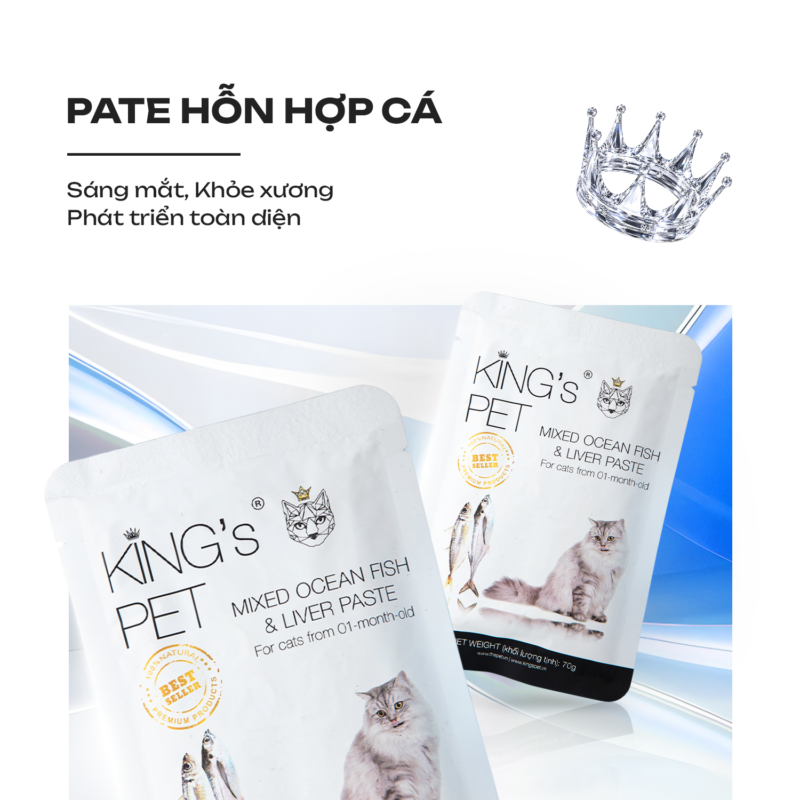 cat-mong-cho-meo