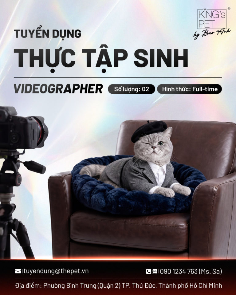 King’s Pet By Bao Anh Tuyển Dụng Thực Tập Sinh Video Grapher